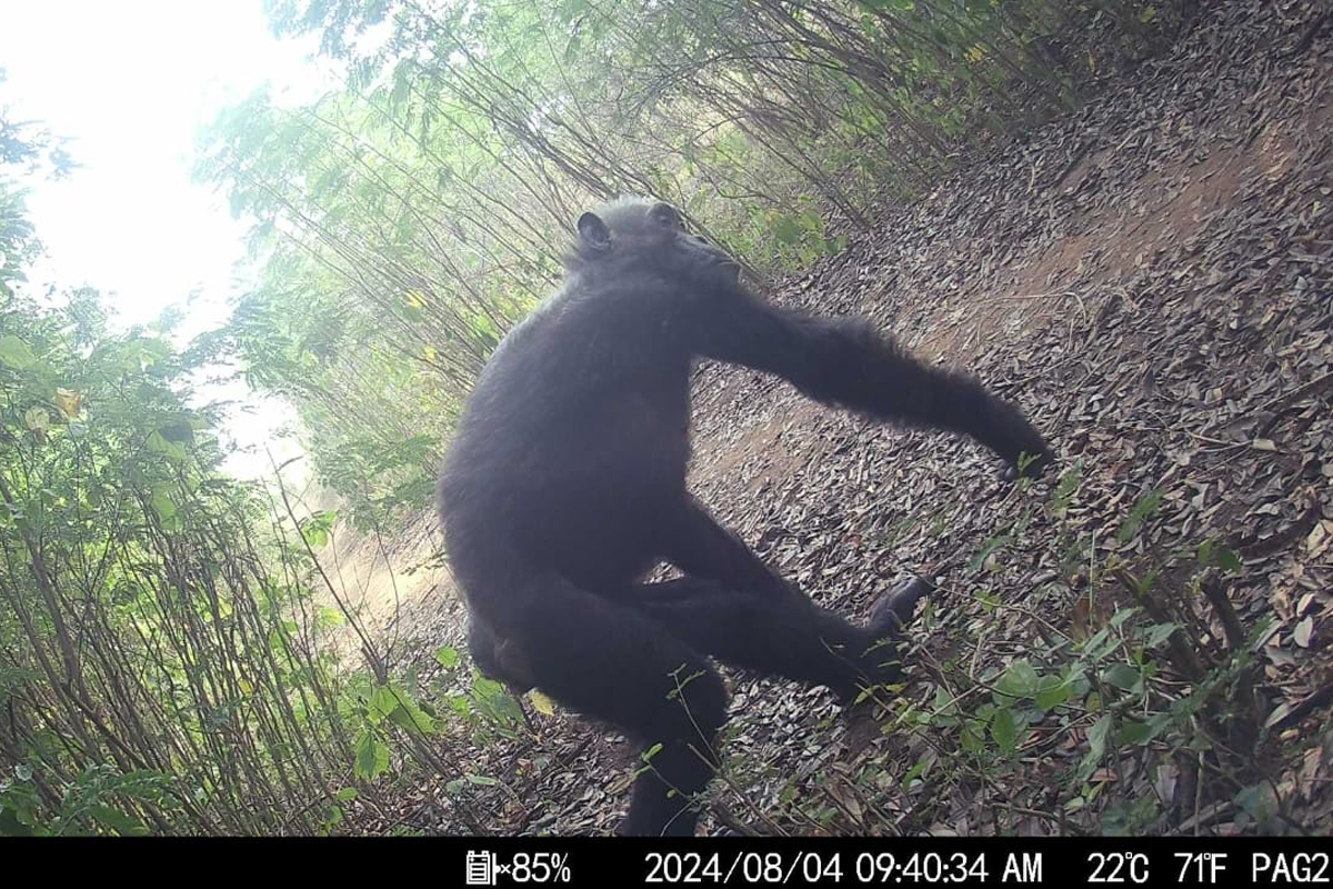 Once war-torn Rwanda is now ready to shine