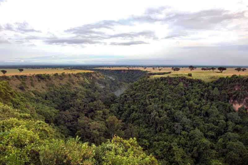 Safeguarding the Chimps of Kyambura