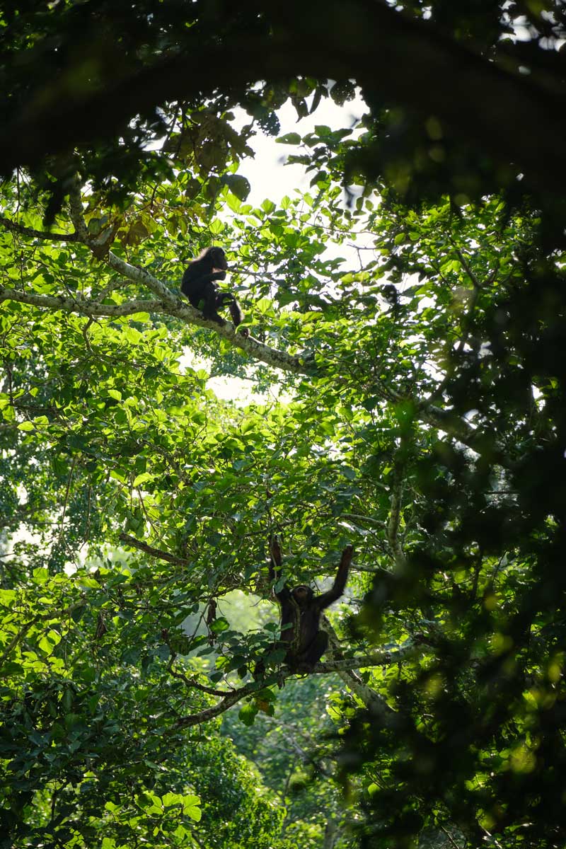 Africa's Forgotten Savannah Park