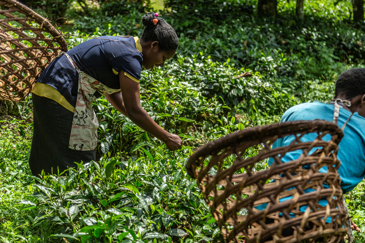 Men's Journal: Up in the Mist