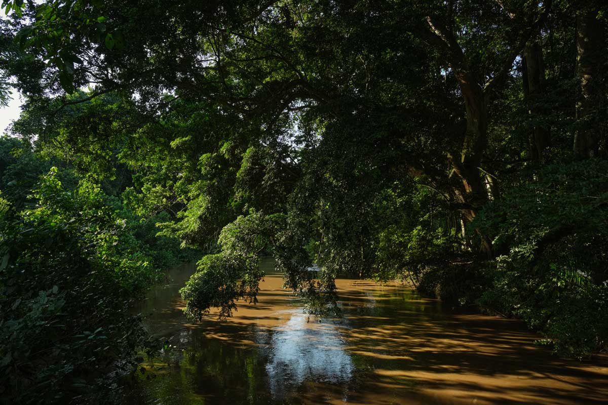 Kyambura Gorge a World Saver Finalist!