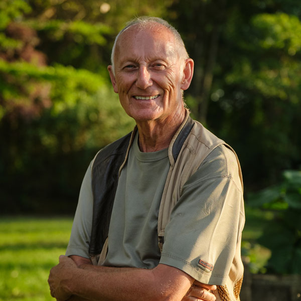 Saying Goodbye to the Gorillas