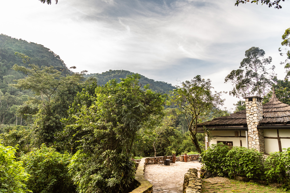 What's so special about Bwindi Lodge?