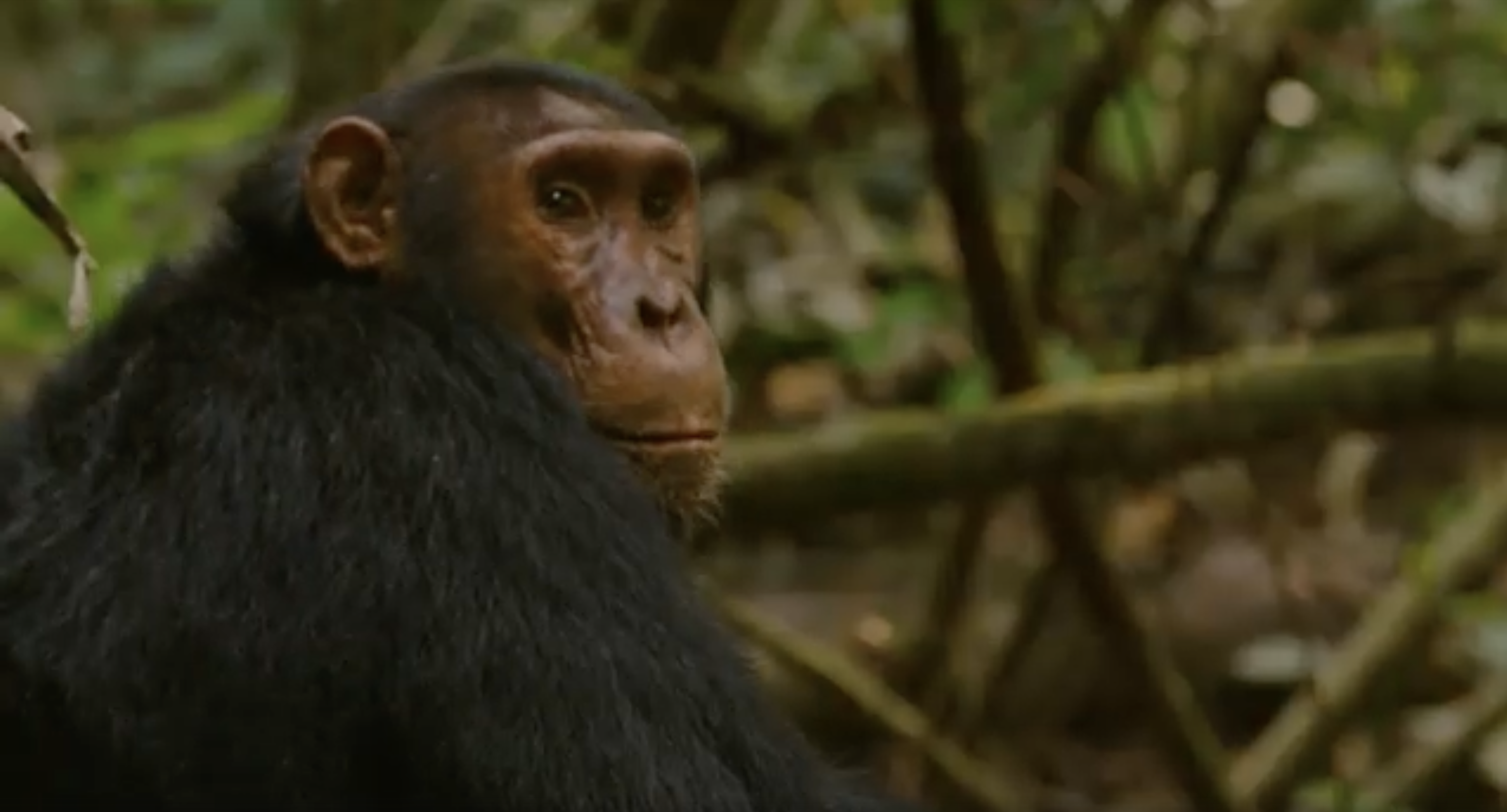 Opinion: Responsible Tourism is Transforming Perceptions of Rwanda