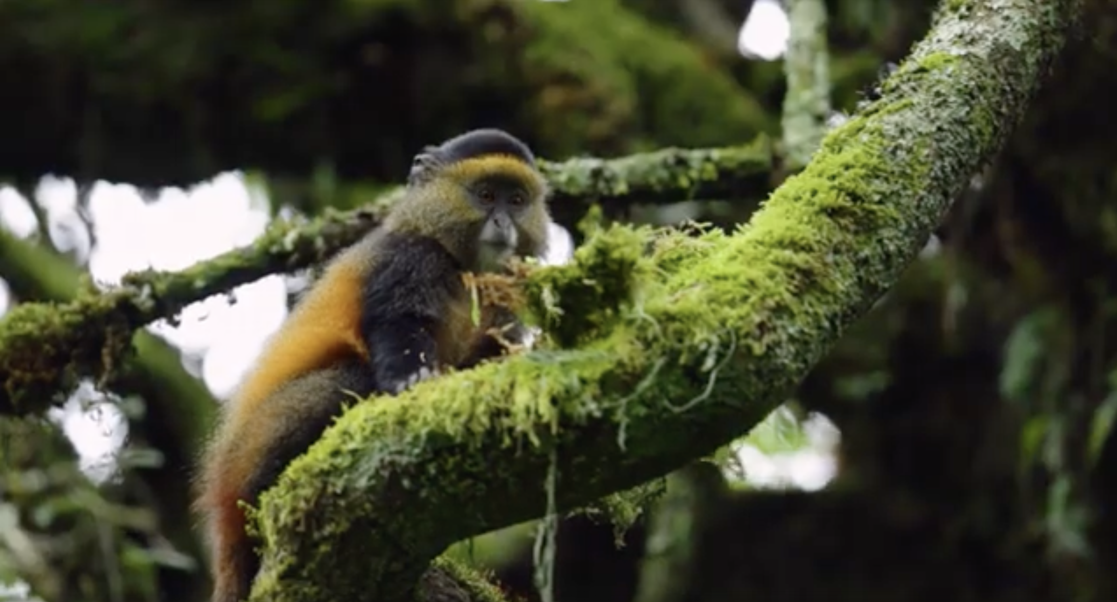 Into the Great Unknown