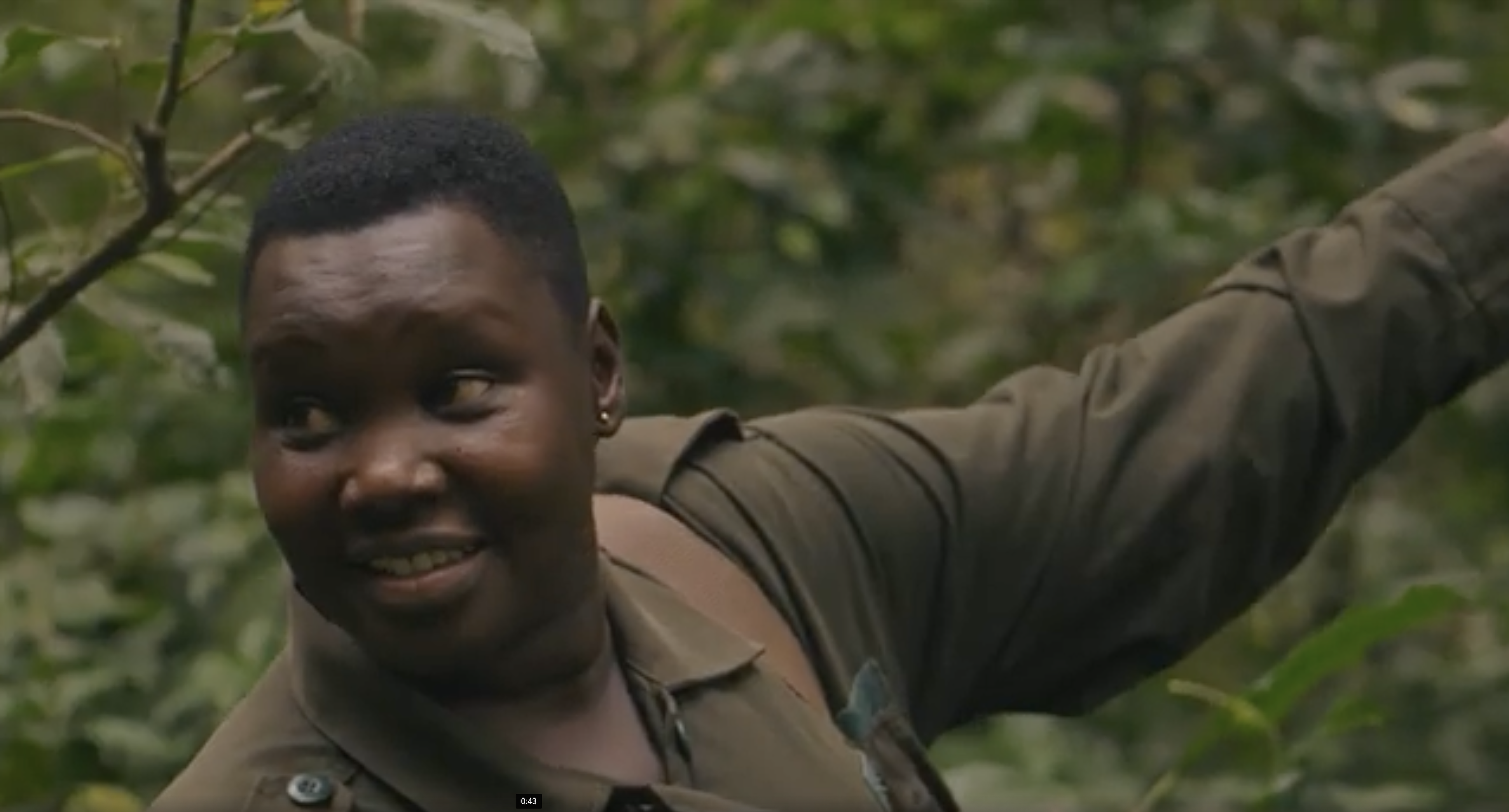 How to Plan an Unforgettable Gorilla Trekking Adventure Through Africa