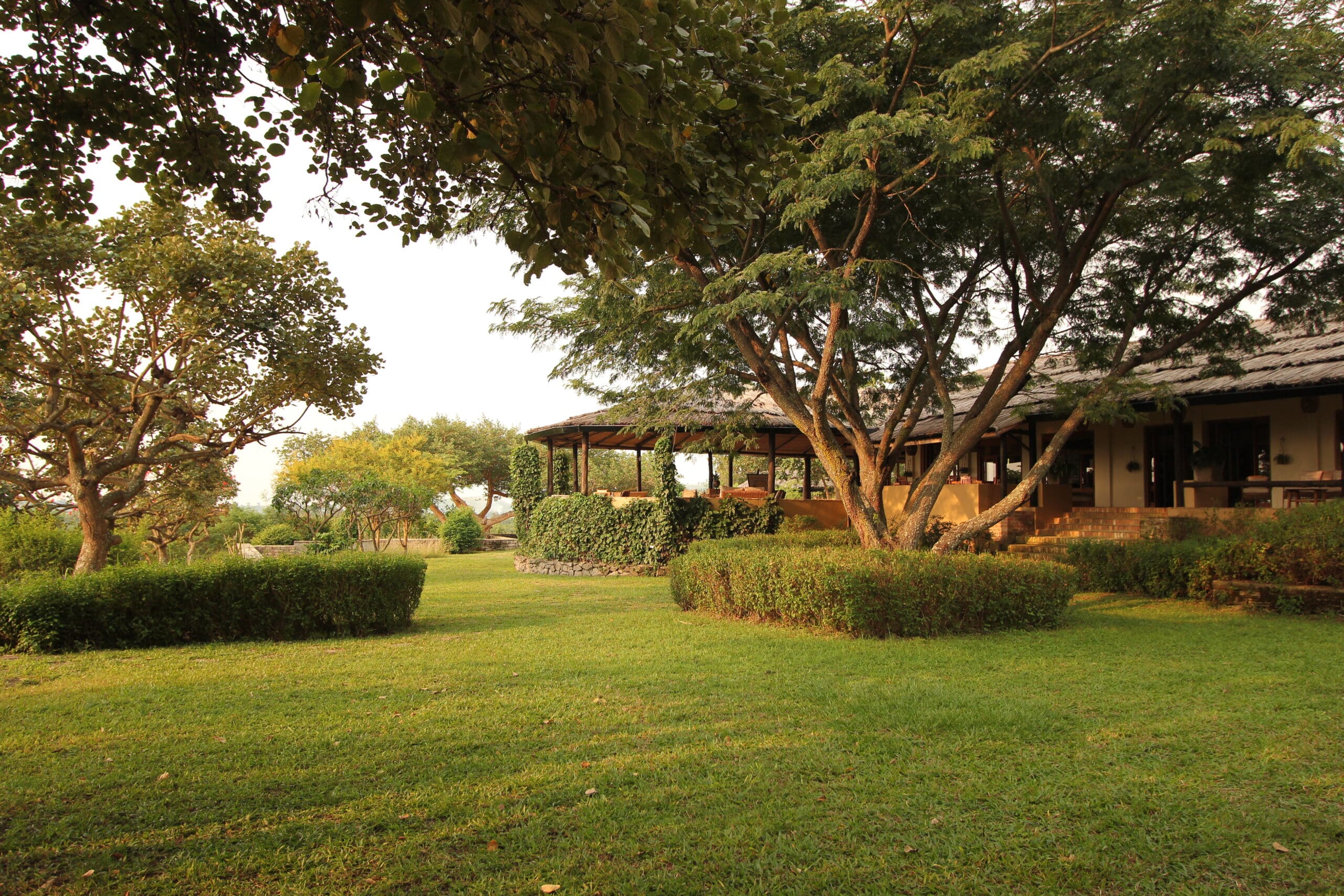 Volcanoes Safaris feature in Mail Online