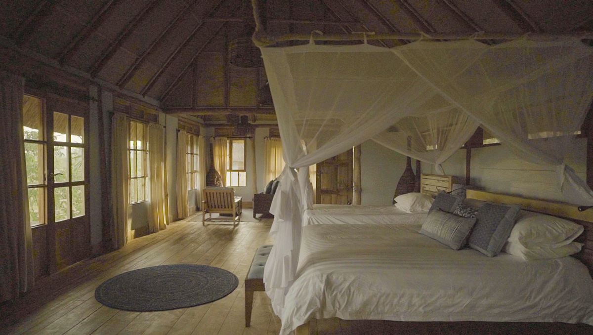 Volcanoes Safaris featured in The Hollywood Reporter