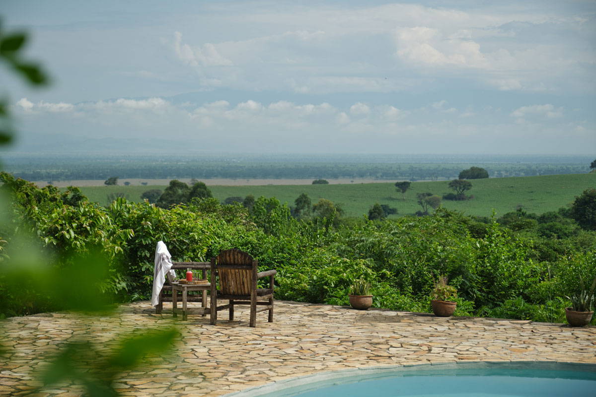 Batwaveganza, the Best Show in Town!