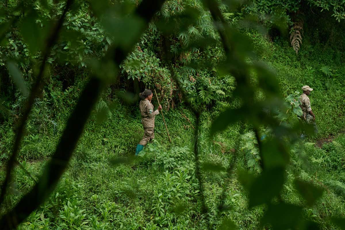 Volcanoes Safaris featured in East End Taste