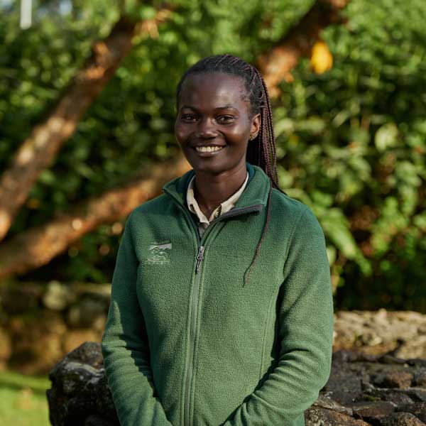 Bwindi Lodge in Telegraph