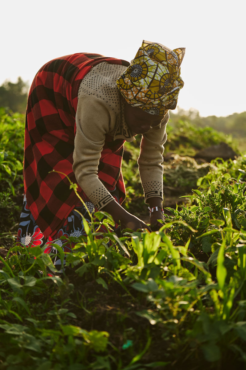 Mount Gahinga Lodge featured in Billionaire