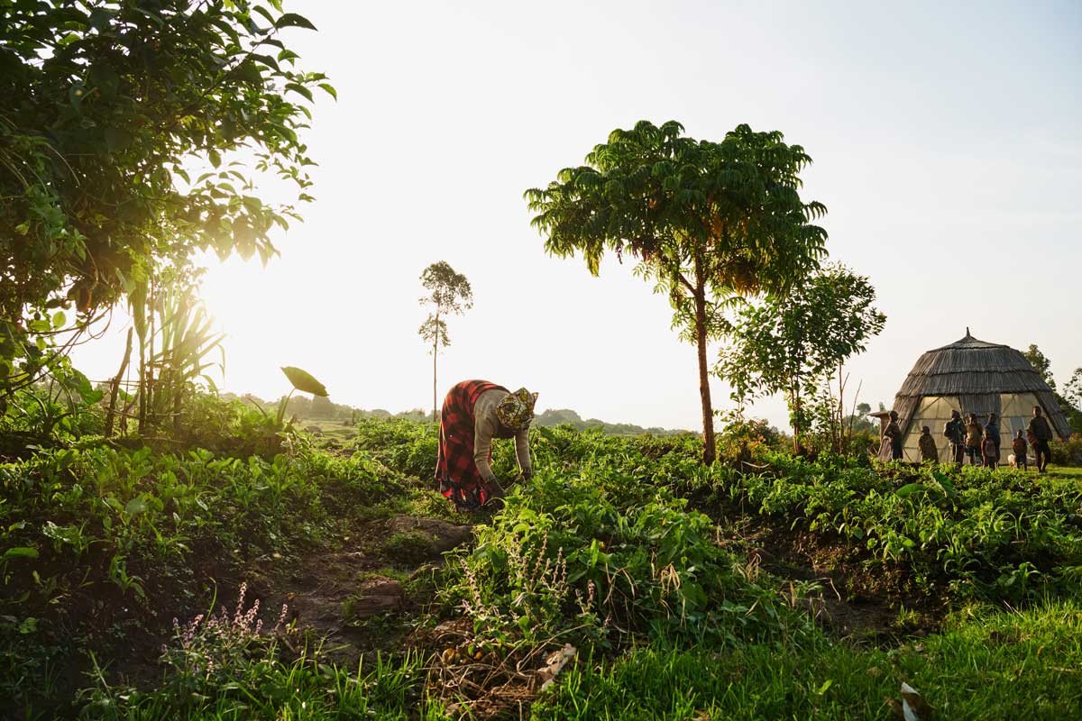 Virunga Lodge featured in The Wall Street Journal