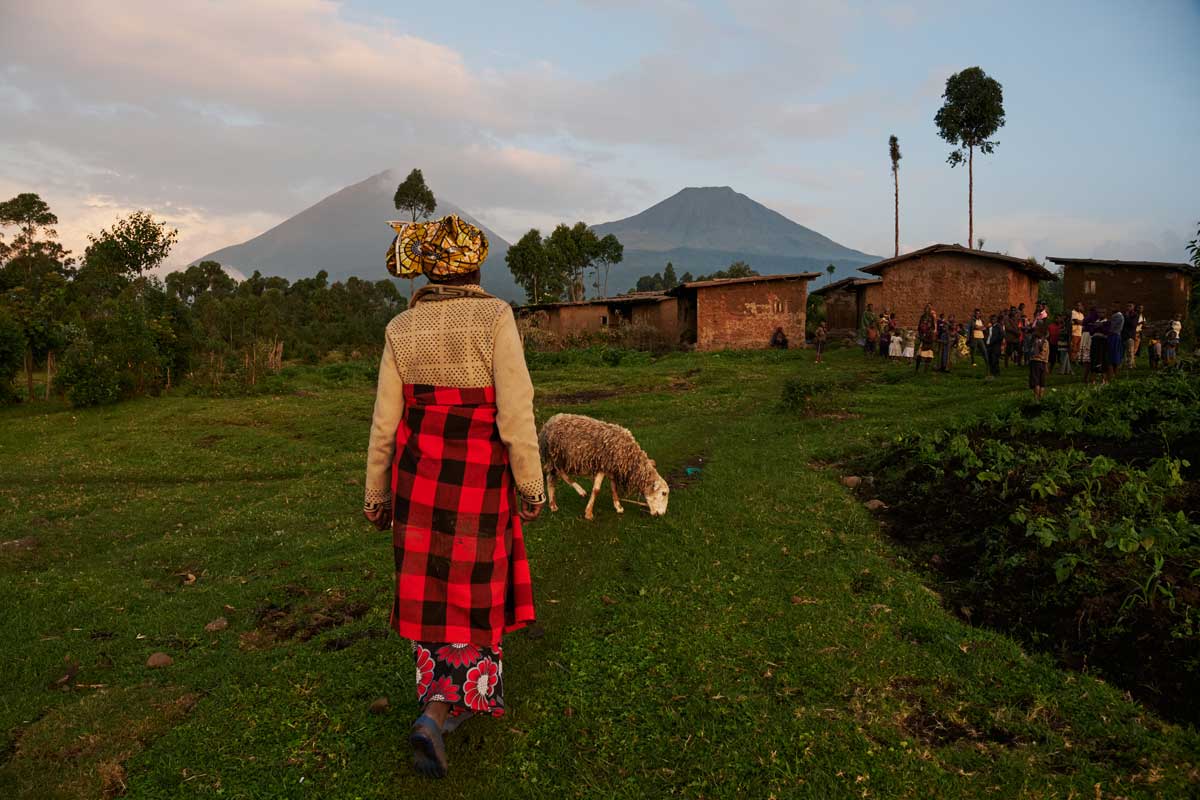 Volcanoes Safaris Featured in National Geographic Expeditions