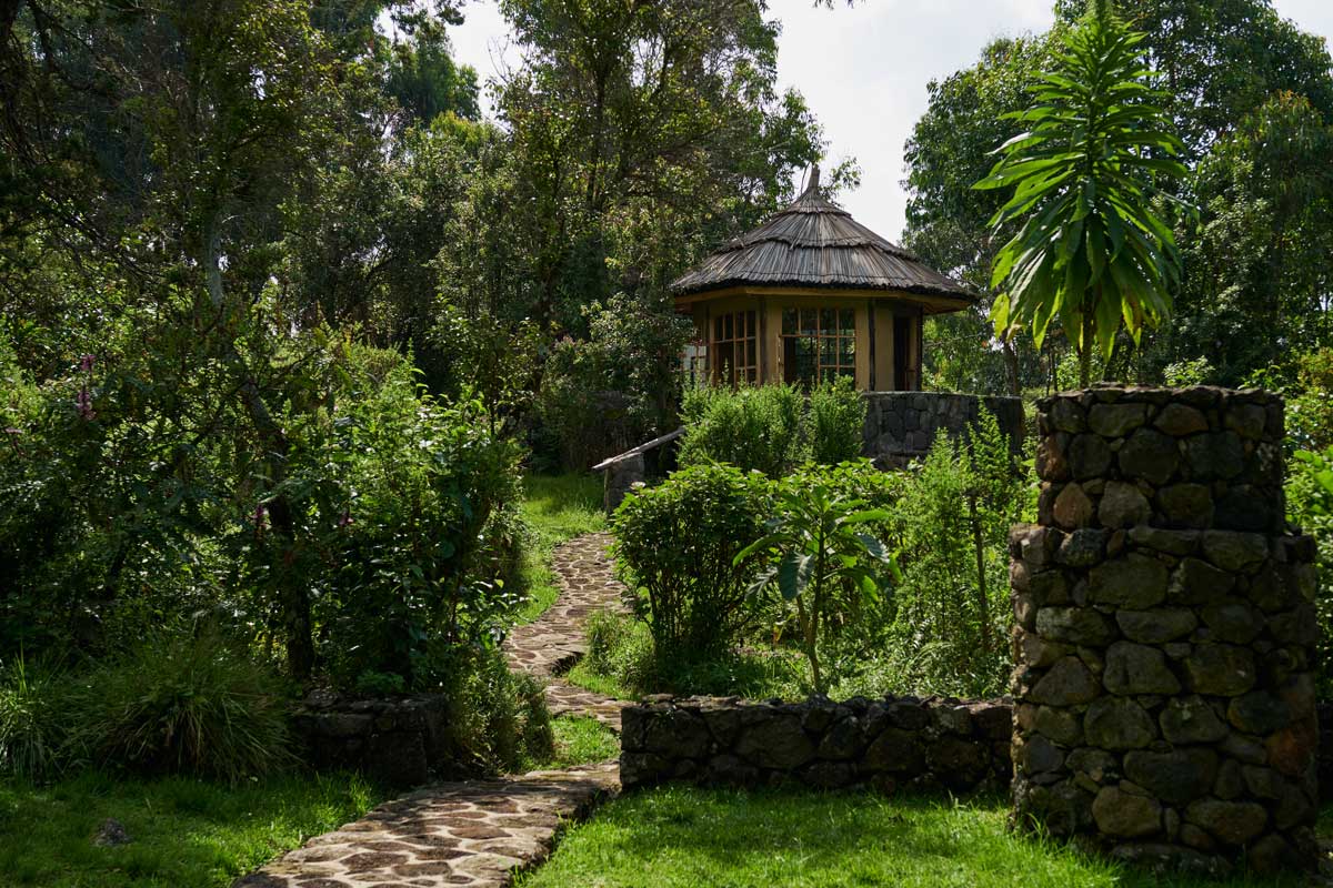 Volcanoes Safaris announces 2023 plans to open 5th lodge in Kibale, Uganda