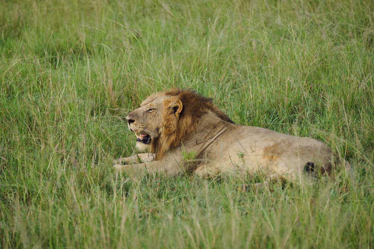 Queen Elizabeth National Park