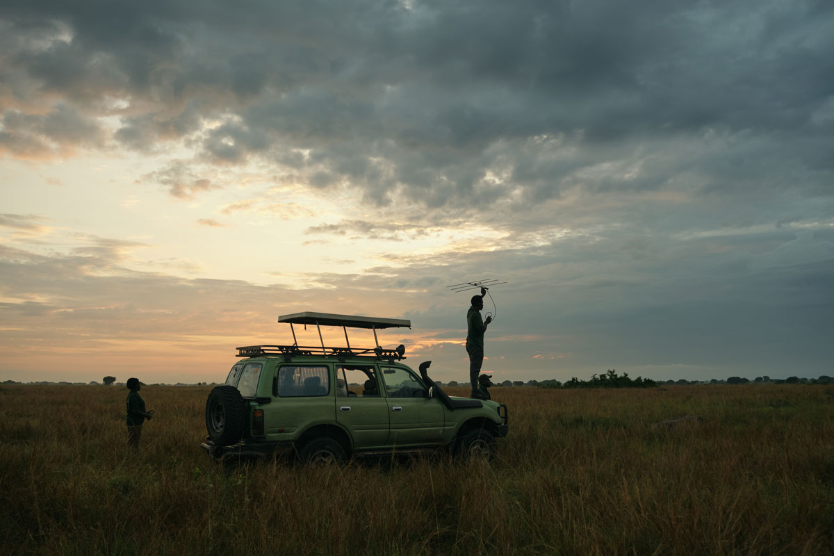 Laura and her Special Gorilla Encounter