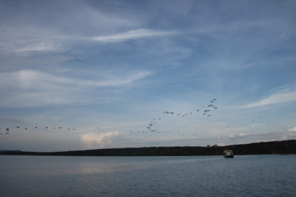 Weddings and Anniversaries