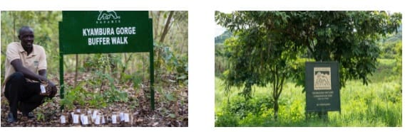 Volcanoes Safaris Kibale Lodge Featured in AFAR