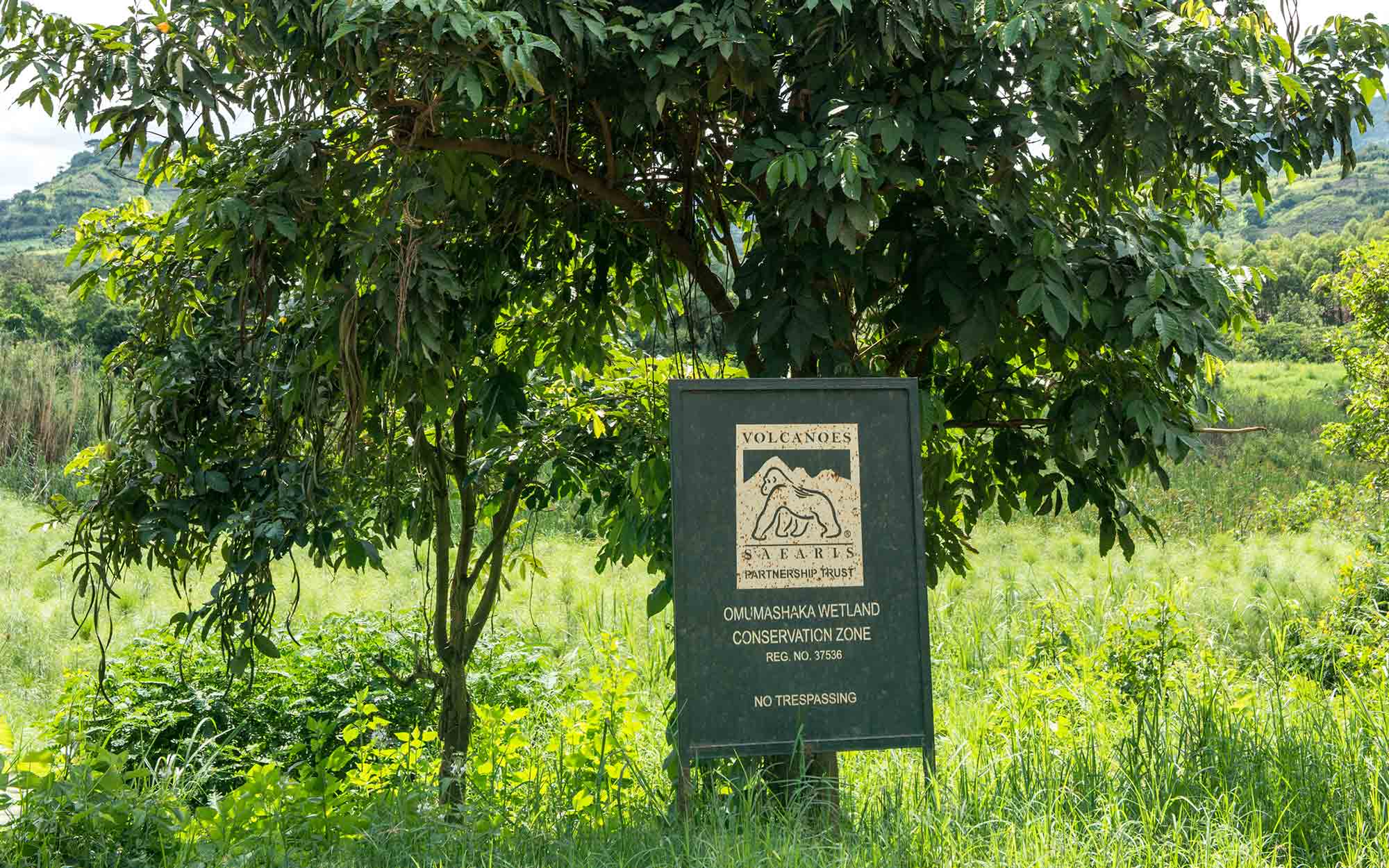 Kibale Lodge Featured in Travel Trade Gazette (TTG)