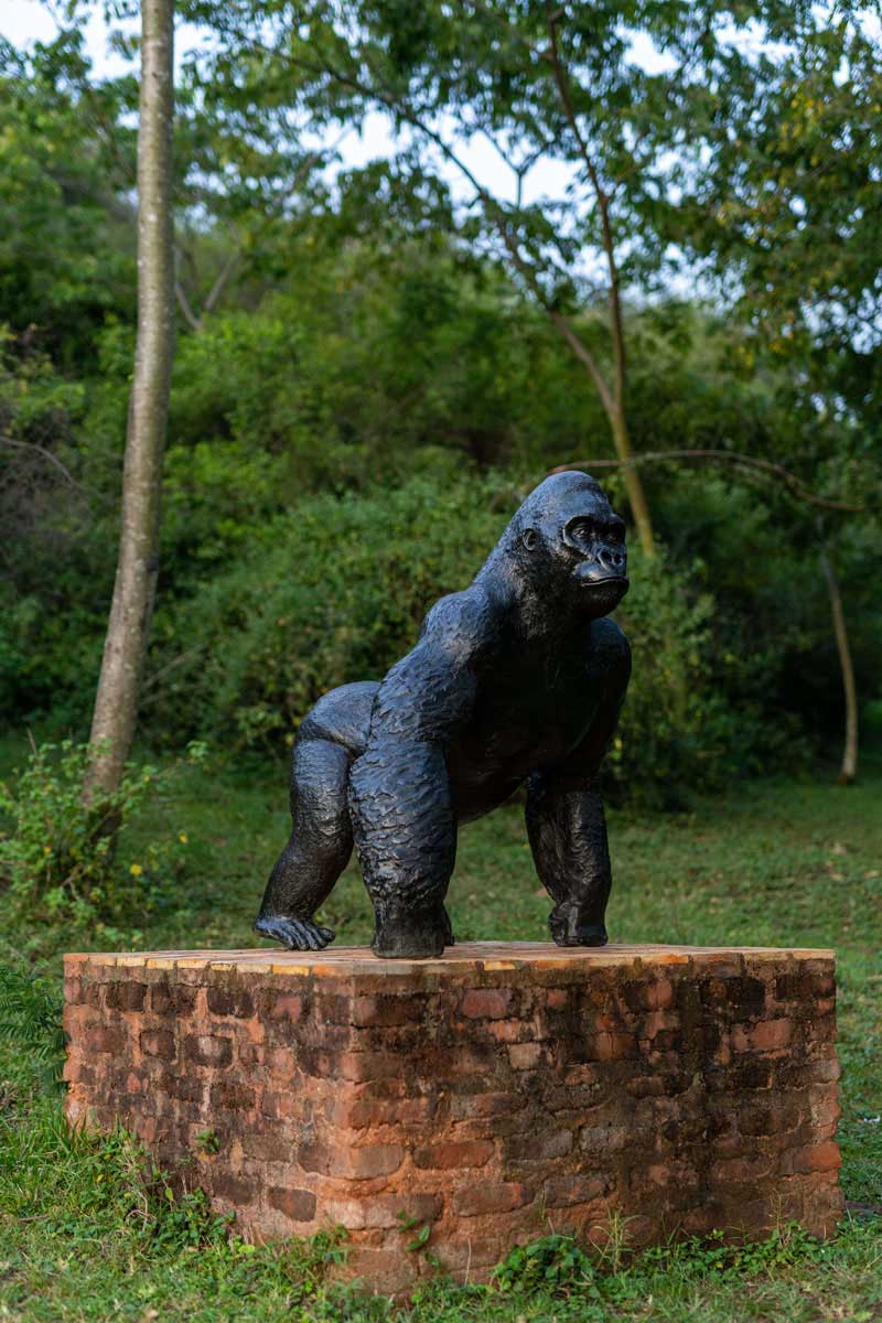 Virunga Lodge Featured in Drift Travel Magazine