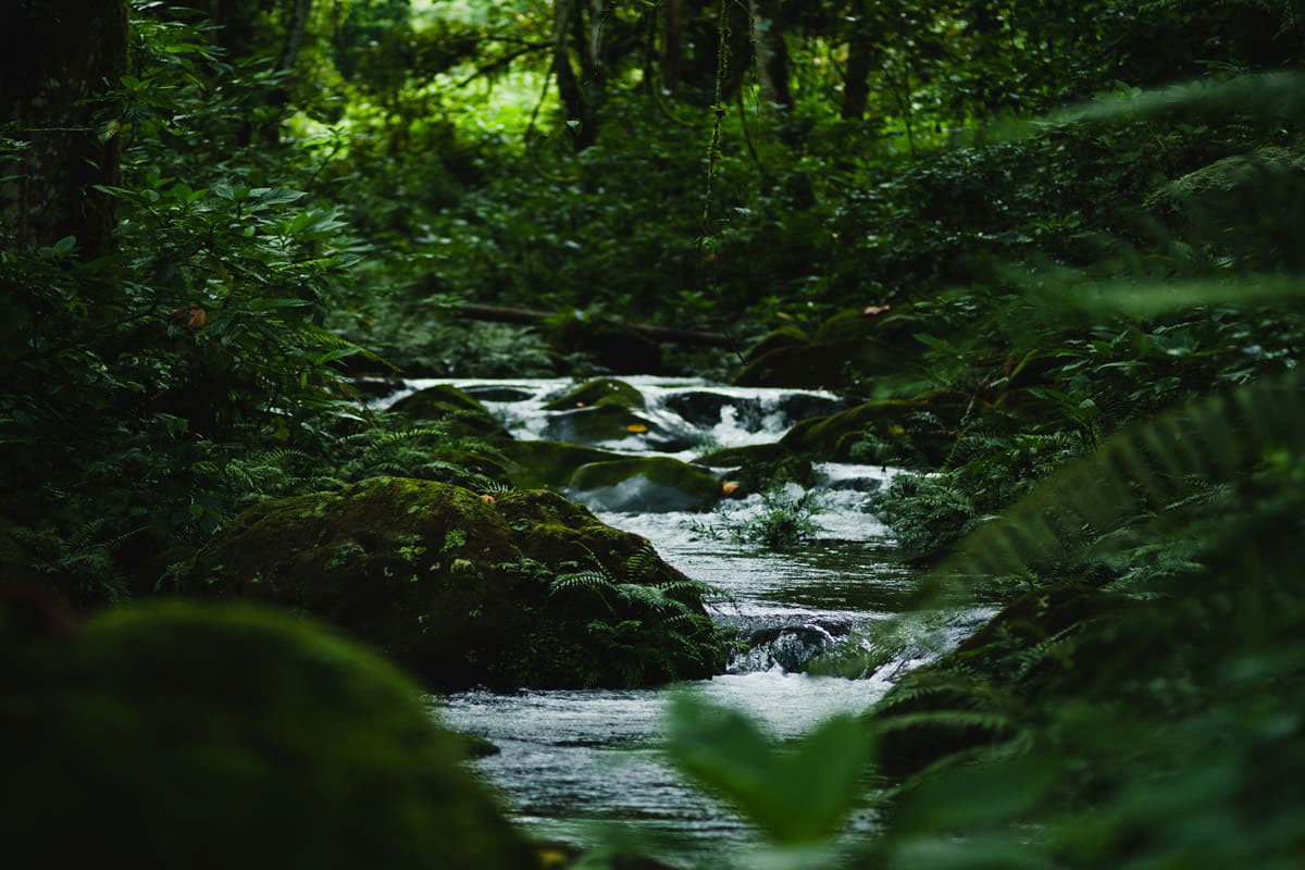 Virunga Lodge Featured In Travel + Leisure