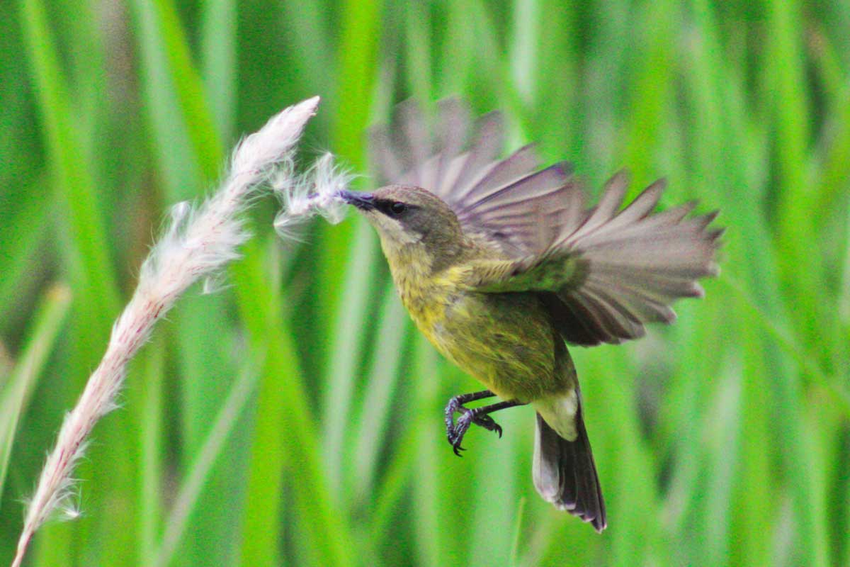 A Trip With the Birdwatchers