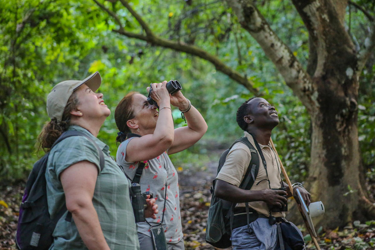 Volcanoes Safaris Featured In The Spector World