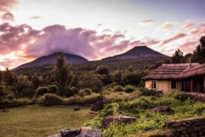 Volcanoes Safaris Featured In Toronto Star