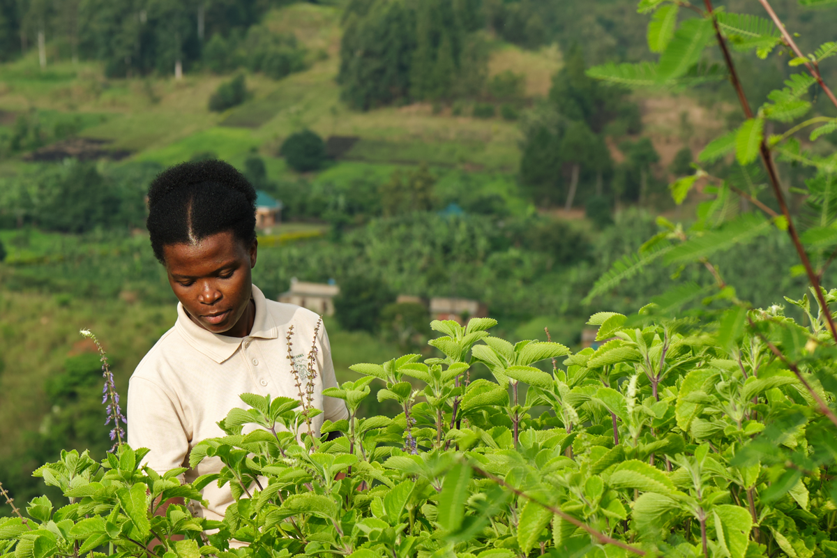 Virunga Lodge in The Standard Magazine