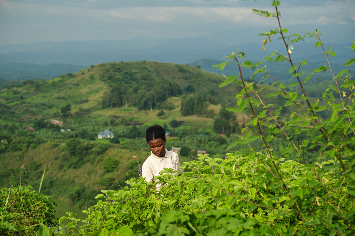 Bwindi Lodge in The Peak Singapore Online