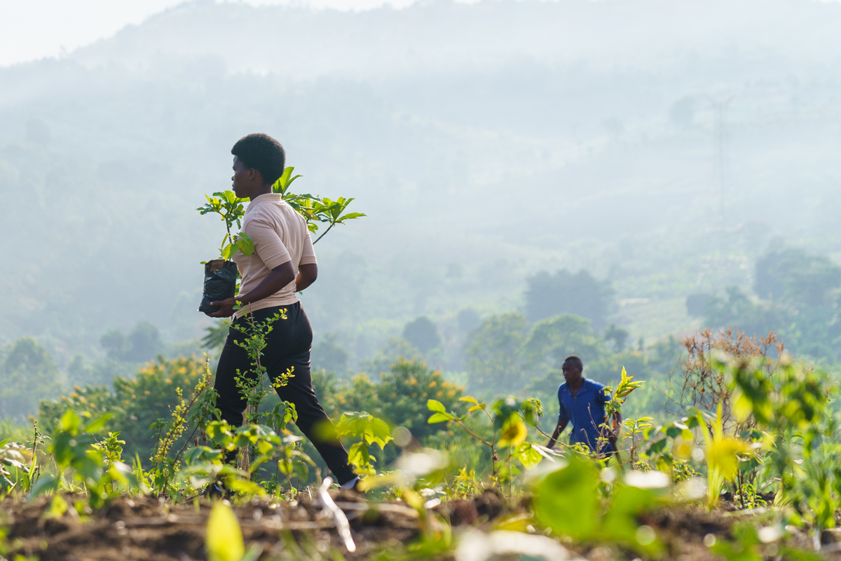 Volcanoes Safaris and Kibale Lodge in Business Insider
