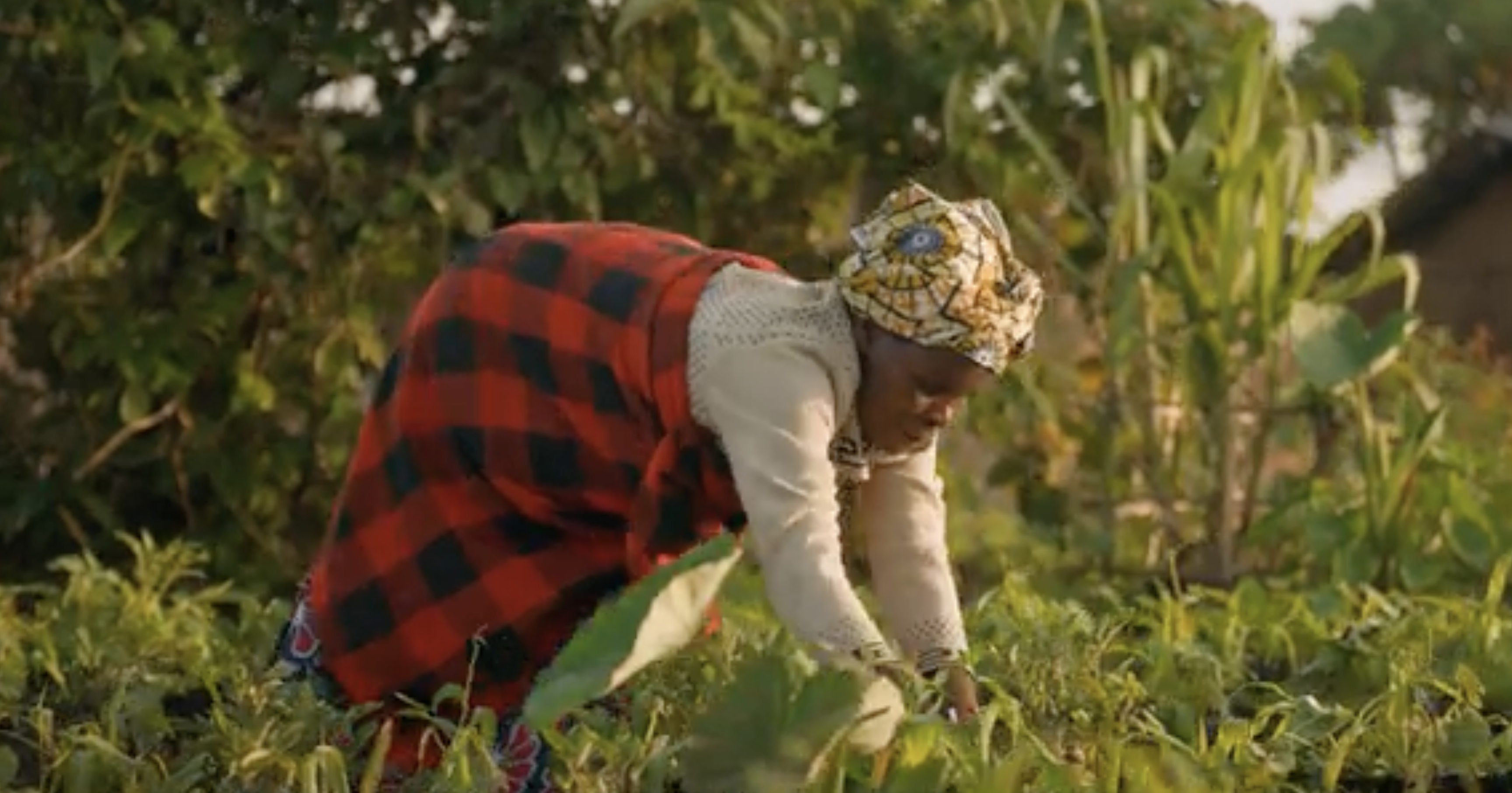 Virunga Lodge in Food and Travel Magazine