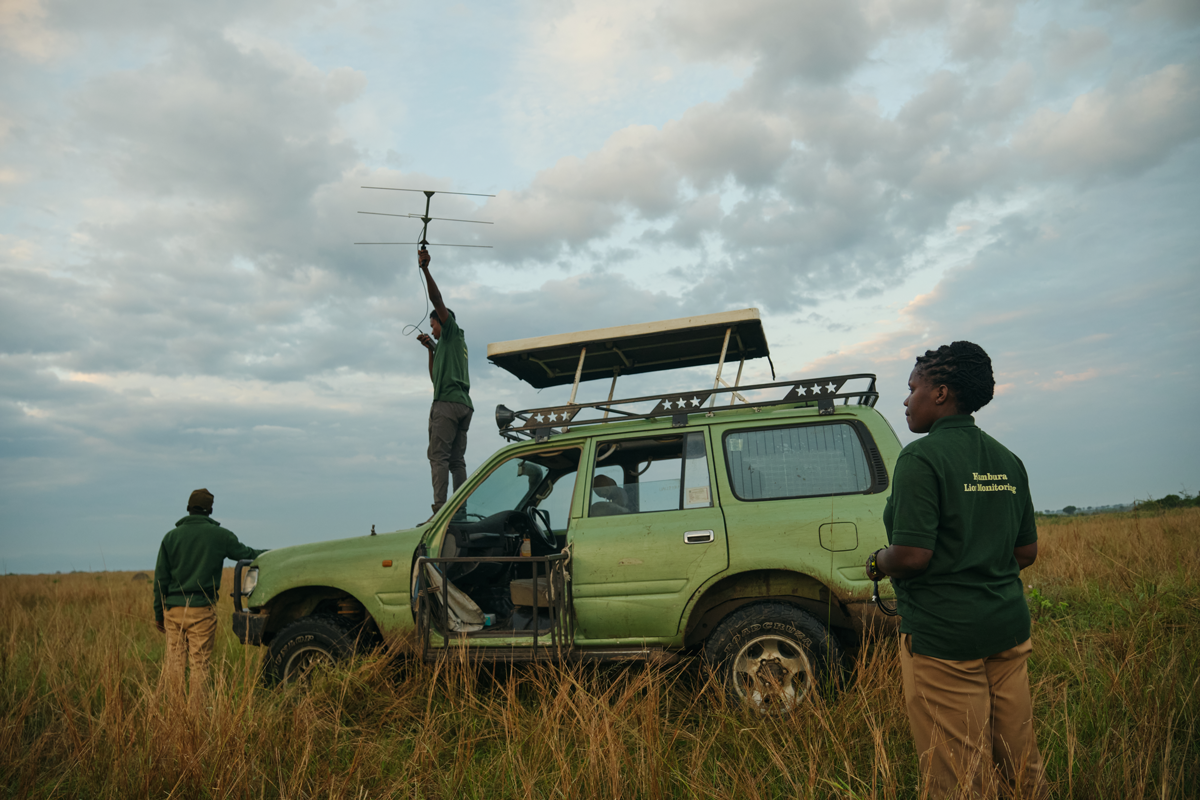 Kyambura Lion Monitoring Team named a recipient of the 2025 Adventure Travel Conservation Fund grant