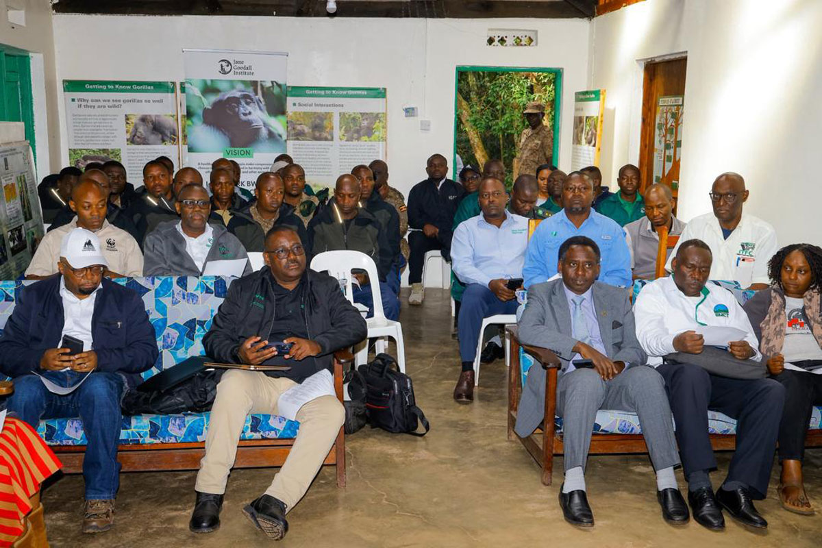 Volcanoes Photo Competition 2014!!