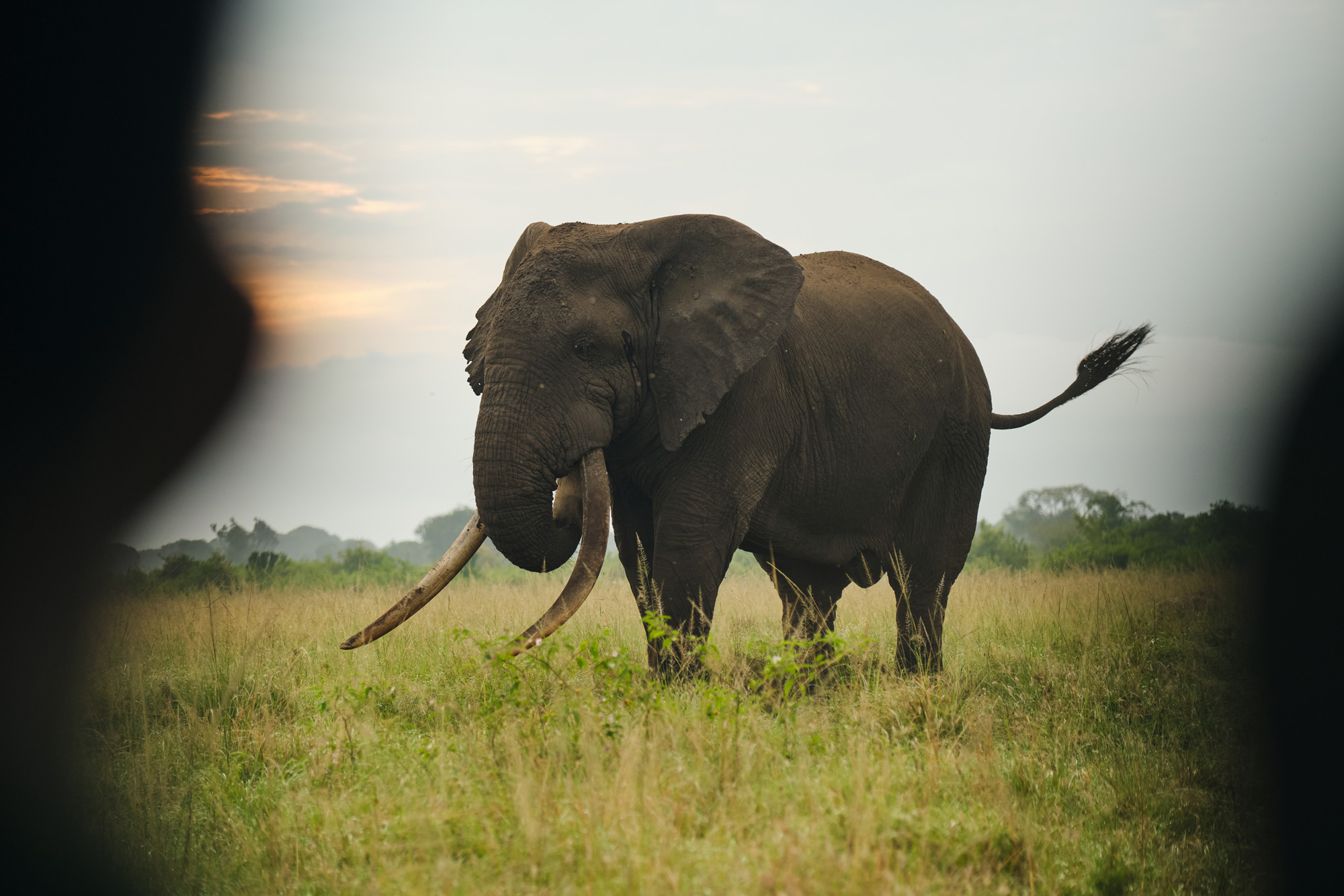 Africa's Forgotten Savannah Park