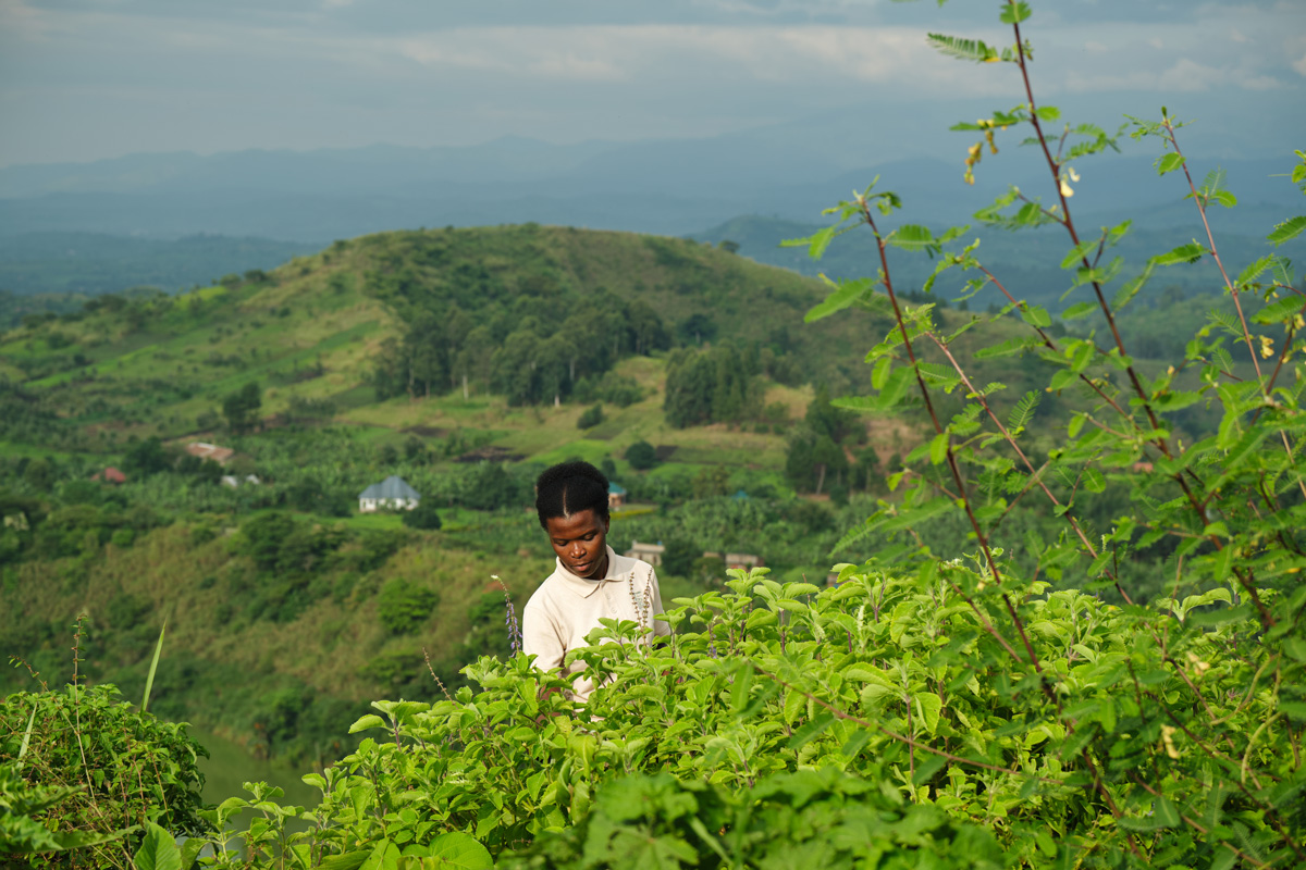 A Spotlight on Celine Ishimwe, Head Botanist Volcanoes Safaris