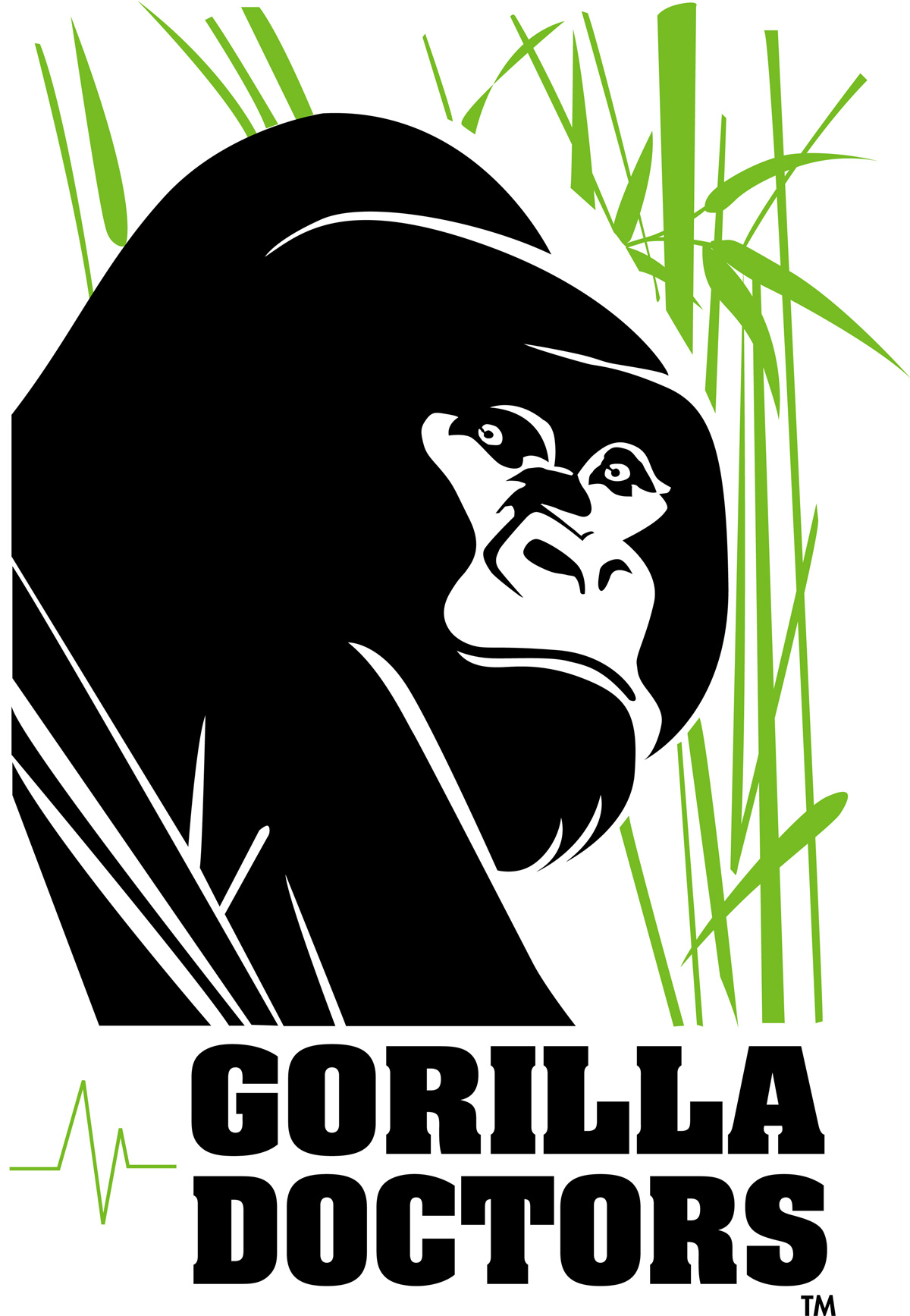 Gorilla Doctors 