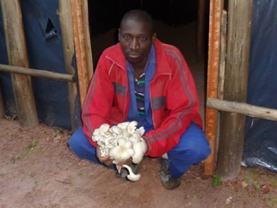 community member displays mushroom harvest