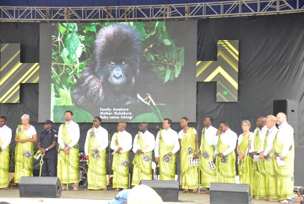 Kwita Izina 2015-Every year, conservationists, tourism experts and international politicians and celebrity guests are invited to name the gorillas at Kwita Izina, Rwanda