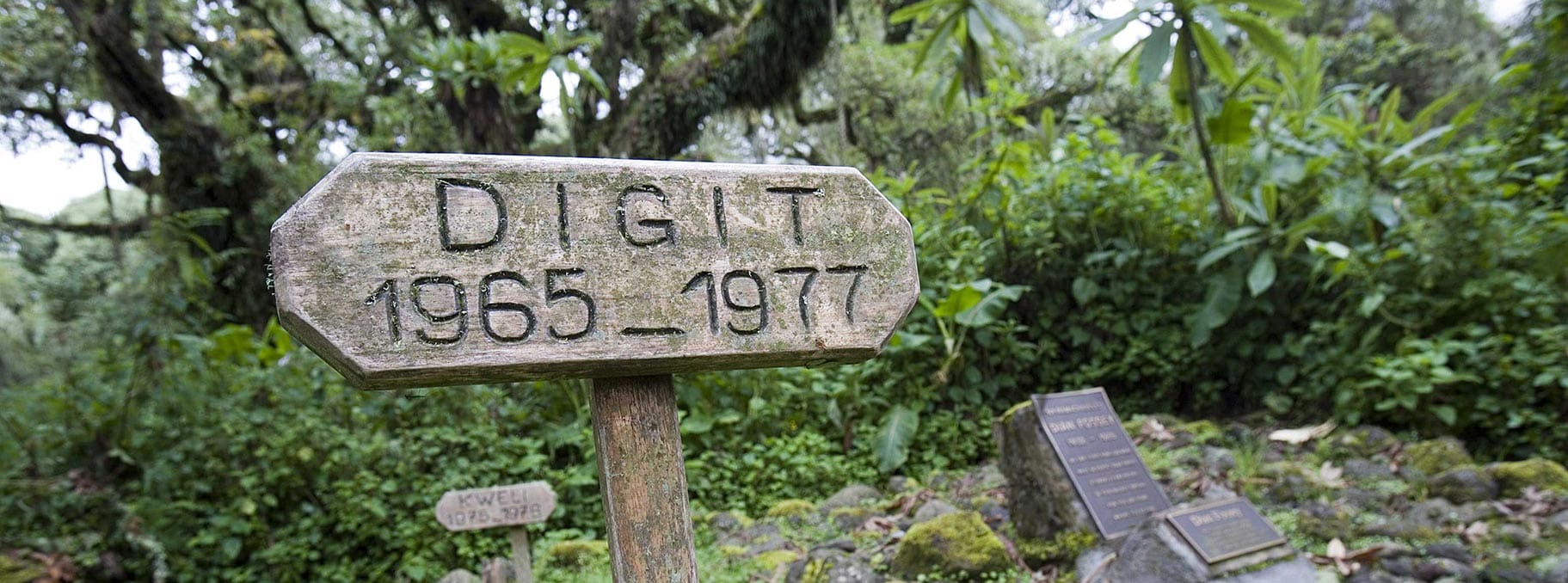 Dian Fossey Grave Digit