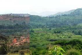 KYA Wetland Before After NS