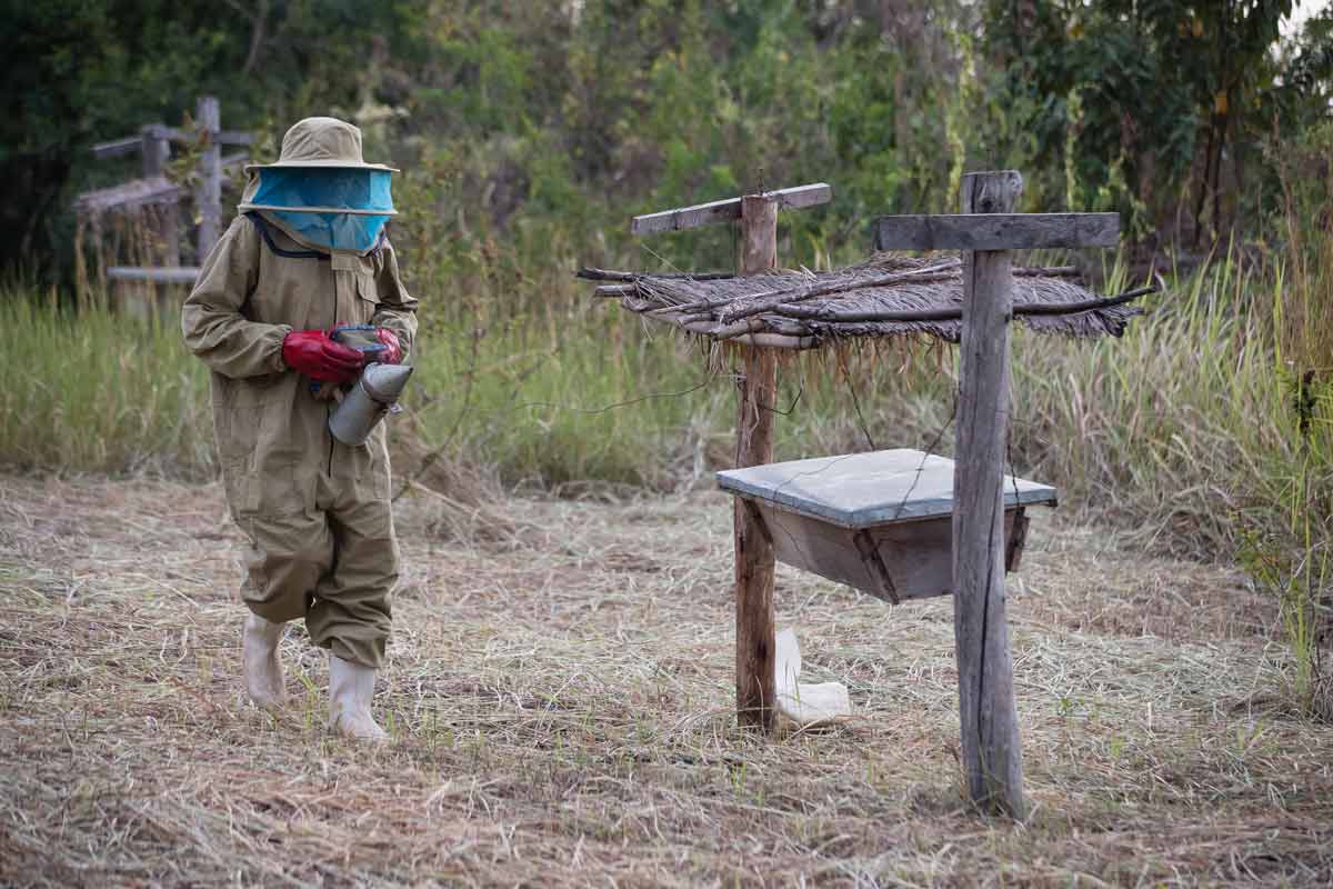 volcanoes safaris kyambura community project beekeeping training fences