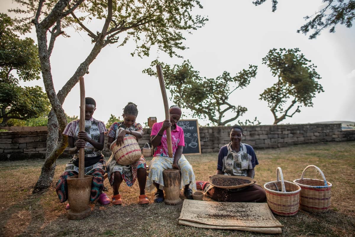 volcanoes safaris kyambura womens coffee cooperative community project