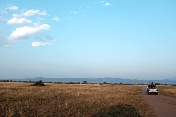 Uganda Queen Elizabeth National Park Big