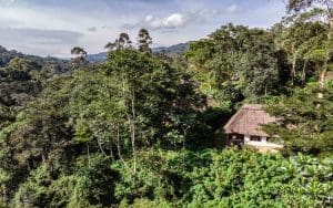 VolcanoesSafaris - Bwindi Exterior1