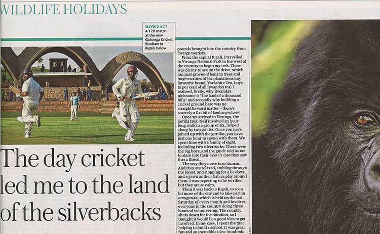 The Day Cricket Led Me to the Land of the Silverbacks