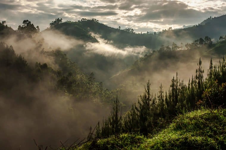 Blind-Impenetrable-Forest-National-Park