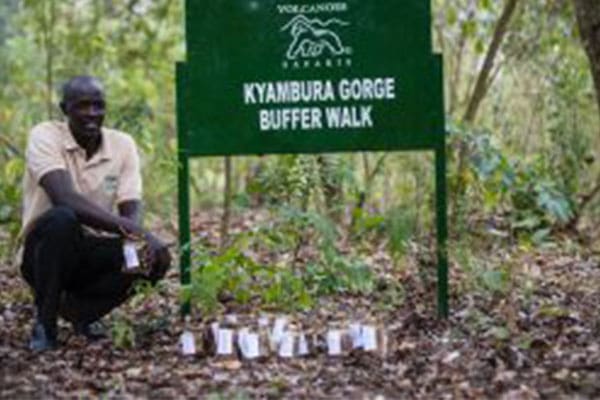 kyambura ecoproject gorge