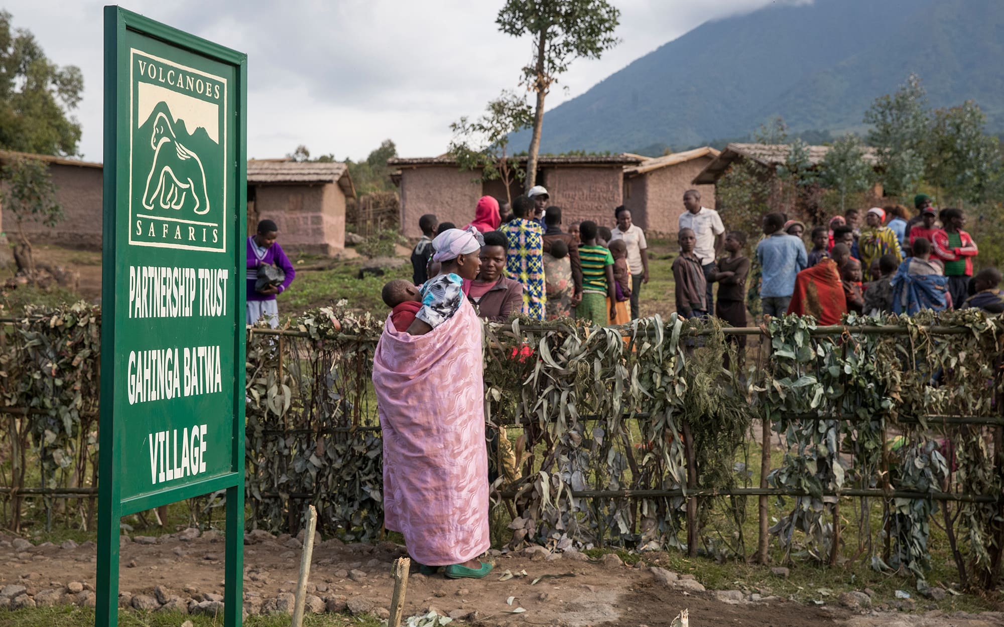 How the Batwa came back from the brink